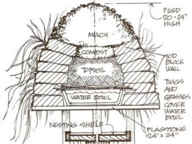 The Earth-Sheltered Birdhouse Design